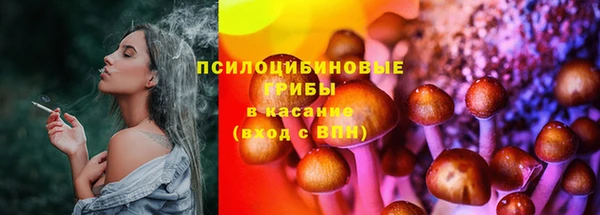 ГАЛЛЮЦИНОГЕННЫЕ ГРИБЫ Беломорск