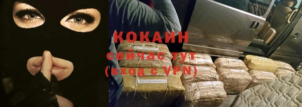 твердый Бронницы