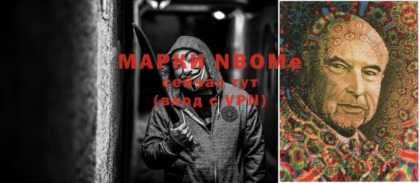 шишки Белокуриха
