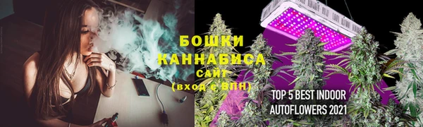 бутират Богданович