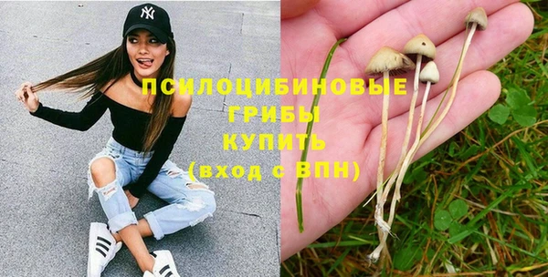бутират Богданович